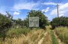 Teren de 11.000 mp cu casa si teren agricol | La 40 km de Bucuresti | - 6