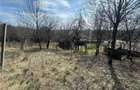Teren Parcelabil I 11400 MP I Corpadea - 5