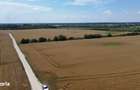 Ciolpani-Ilfov, Teren intravilan-20 ha - 5