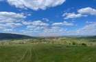 TEREN | BALNACA | 6301MP | BIHOR - 3
