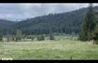 55.000 MP IN INIMA NATURII DIN BUCOVINA | POTEN?IAL RESORT DE LUX, - 2