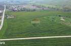 Teren de vanzare sau inchiriat 19ha intravilan, Agnita,Sibiu - 7