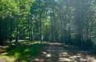 Domeniu forestier 50 ha | Privelisti spectaculoase | La 1 ora de Bucuresti | Investitie unica - 2