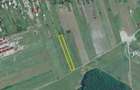 Teren Construcții intravilan de 5000 mp, în Corbeanca - 4