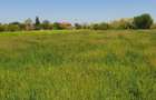 Vand teren intravilan 1.500 mp Iratosu, zona linistita, iesire spre Dorobanti - 6