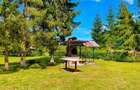 Casa de vacanta de vanzare Valea Avrigului - 14
