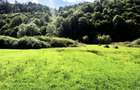 Teren 60 ari in Rosia (Bihor) Poiana superba cu PARAU, izvor si DUBLU ACCES