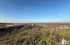Teren de vanzare/schimb in Delta Dunarii - Mahmudia - 1