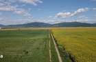Teren extravilan 395 mp, Prejmer, Brasov - 3 600 euro - 3
