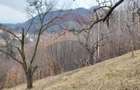 Teren de vanzare Bra?ov, zona Dupa Iniste, 2710 mp - 2