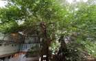 Apartament 2 camere Primaverii 10 min Herastrau - 5