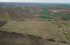Teren 22.500 mp – Pecica, jud. Arad - 8