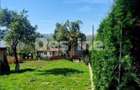 Vand Casa In Localitatea Valea Doftanei - 4