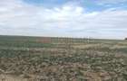 Ferma Agricolă 1.350 HA – Grad de Comasare 96–97%, Județul Arad - 4