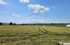 Teren 15,000mp Salcea-Prelipca, Suceava - Prelipca (Suceava) - 4