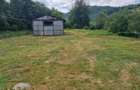 Proprietate cu casa,hambar,bazine pastrav,teren 5.655mp,Hobi?a-Retezat - 17
