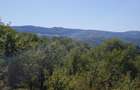 Teren intravilan cu livada 9000mp - zona Valenii de Munte - 7