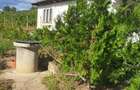 Galati Beresti - De vanzare 1 hectar plantatie de vita de vie si casa cu utilitati - 3
