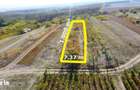 Teren intravilan cu livada 1.000 m2 in Ardud-Vii, view spectaculos!