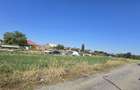 Teren intravilan 300 mp Darza, Crevedia, Dambovita 30.000 - 1