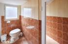 Spatiu comercial, 61 mp, Lipova - 8
