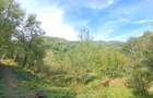 Teren si constructii situate in intravilan 7.780 mp, comuna Bertea, sat Lutu Rosu, Prahova - 5