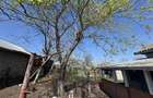 Casa + teren slobozia jud. Giurgiu - 5
