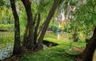 Proprietar Teren 1842 mp cu deschidere la Lacul Snagov + Casă Renovată - 1