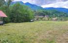 Teren 5600 mp in localitatea Malaia - 4