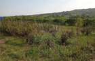 Tomesti - Cabana din lemn si Teren 1008mp intravilan - 3