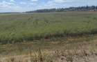 Vand teren agricol in mandruloc - 2