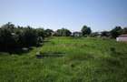 Teren intravilan 800 mp + fundatie 135 mp | Roznov, Slobozia Strada Raculesti | Ideal pentru casa - 4