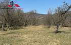 Casa si anexe cu un teren de 7701 mp de vanzare in Stauini Jud Alba - 7