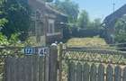 Casă individuală cu 3 camere cu Teren 2873 Mp în Podu Rizii - 3