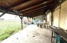 Vanzare Casa Aricestii Rahtivani-Nedelea - 6