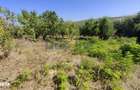 Casa langa PADURE + anexe + 6400 mp TEREN intravilan - sat HARPA?E - 9