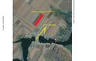 Vand 2 hectare teren agricol - 2