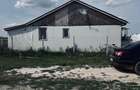 AV697 Casa individuala pe parter, 4 camere, de vanzare, Giroc - 2
