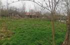 Teren intravilan de vanzare - 6