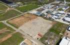 Teren 10.000 mp Domnesti - Centura Bucuresti - Betonare si imprejmuire - 2