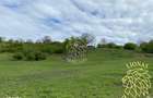 Teren 5000 mp-ideal investitie-Ghinda - 7