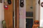 Apartament 2 camere zona Pipera OMV - 3