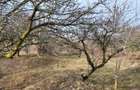 Teren Intravilan 43Ari zona Ortelec-Zalau intre case 4800eur/ar