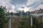 Teren intravilan, 439 mp, toate utilitatile, zona Micesti - 2