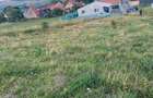 Teren de vanzare Rotbav jd Brasov - 4