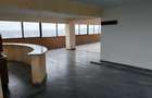 PENTHOUSE EXCLUSIVIST IN INIMA CRAIOVEI | 317 mp utili + 39 - 8