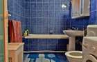 Casa la tara in Sacadat, Bihor, teren 2826 mp, acces auto - Vanzare - 10