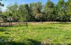 Vând teren intravilan, 1050 euro/ar  în Coruia (Săcălășeni) - 1