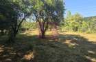 Teren intravilan de vanzare 3375 mp in Brebu - 5