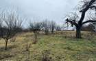 Teren intravilan 1765 mp cu panorama in Cartierul Podgoria